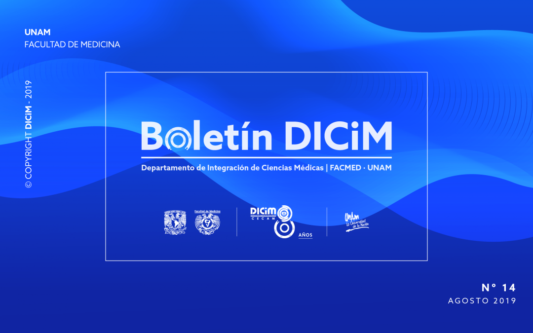 Boletín DICiM Nº 14 – Agosto, 2019