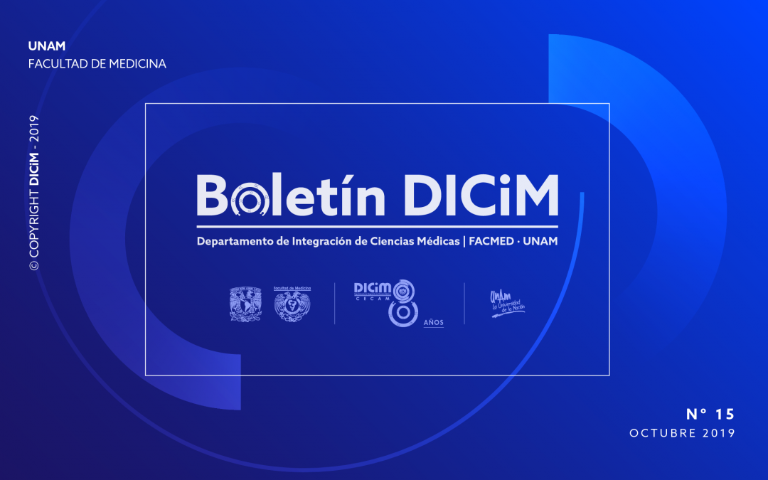 Boletín DICiM Nº 15 – Octubre, 2019