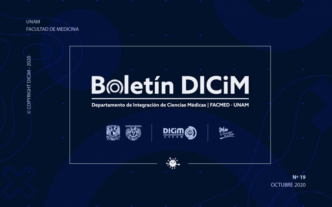 Boletín DICiM Nº 19 – Octubre, 2020
